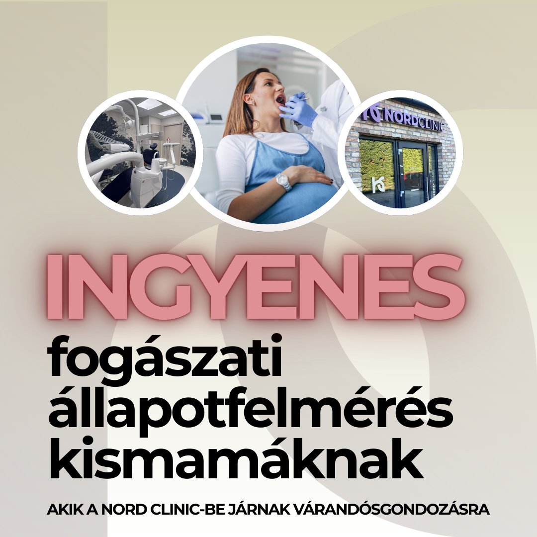 NordDental árak - ingyenes szolgáltatások 